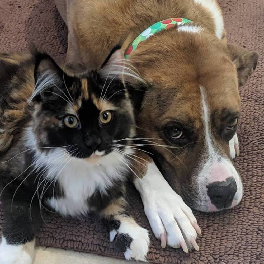 Meet your Posher, Kimberly